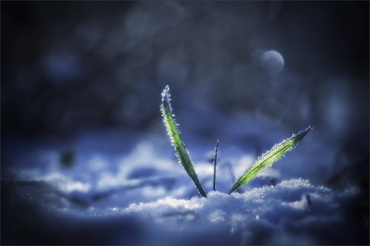 , Суханов Дмитрий