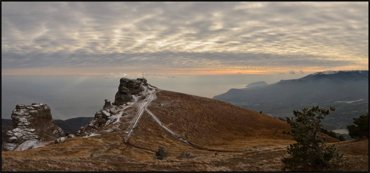 , Владимир Метцгер