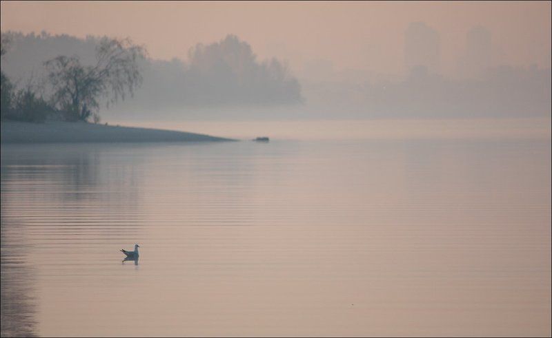 Melody of quiet фото превью