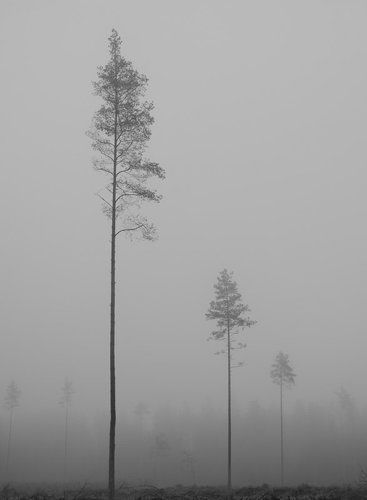Про перспективы