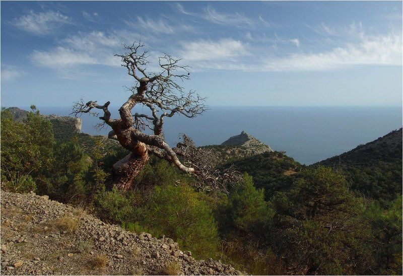 *** фото превью