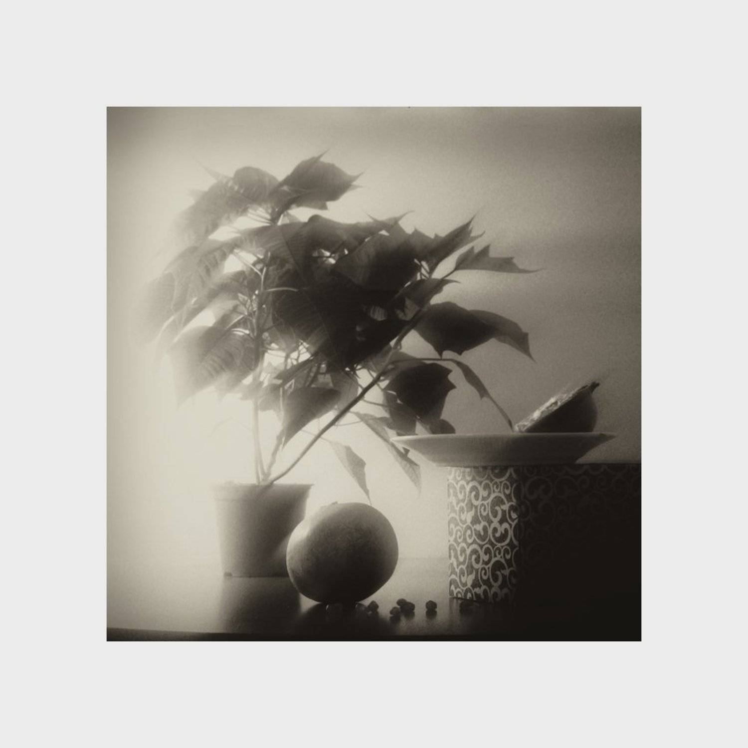 , Игорь Филипенко