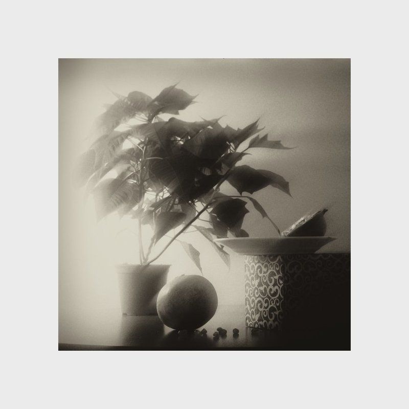 *** фото превью