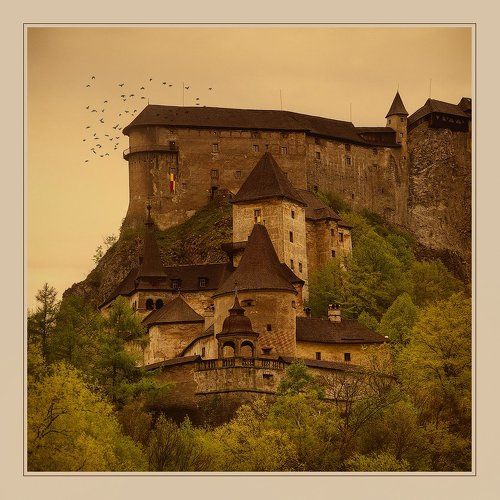 eagle nest