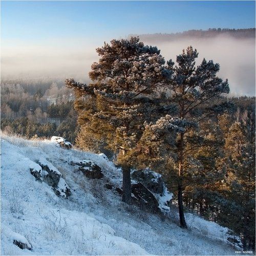 Первый снег.