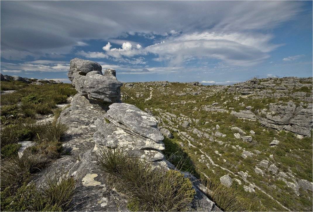 африка, юар, столовая гора., Сергей Гаспарян