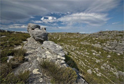 иллюзия свободы