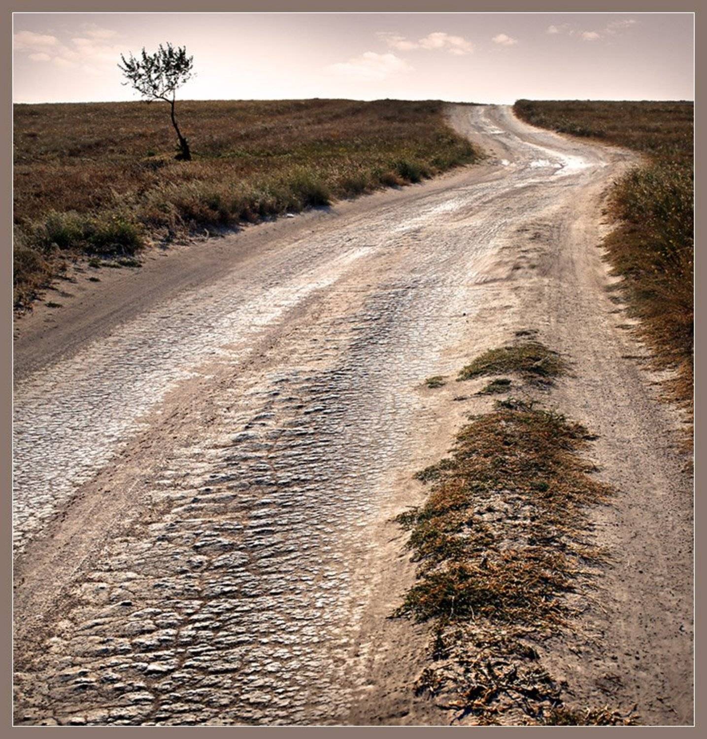 , Роман Белоцерковец