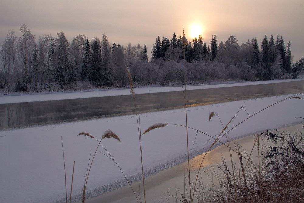 , Николай Морский