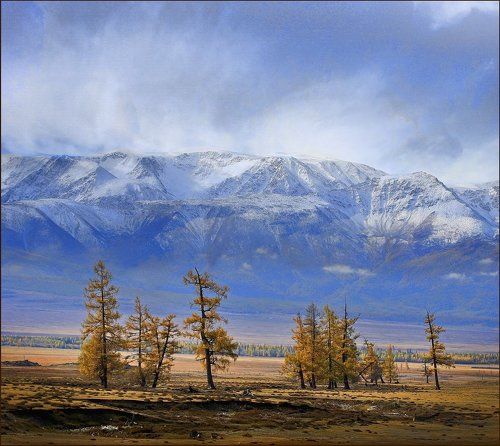 Снежный заряд над Кураем...