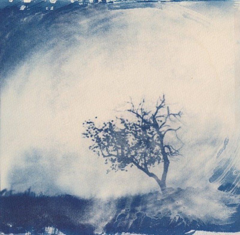 au fond de la mer фото превью