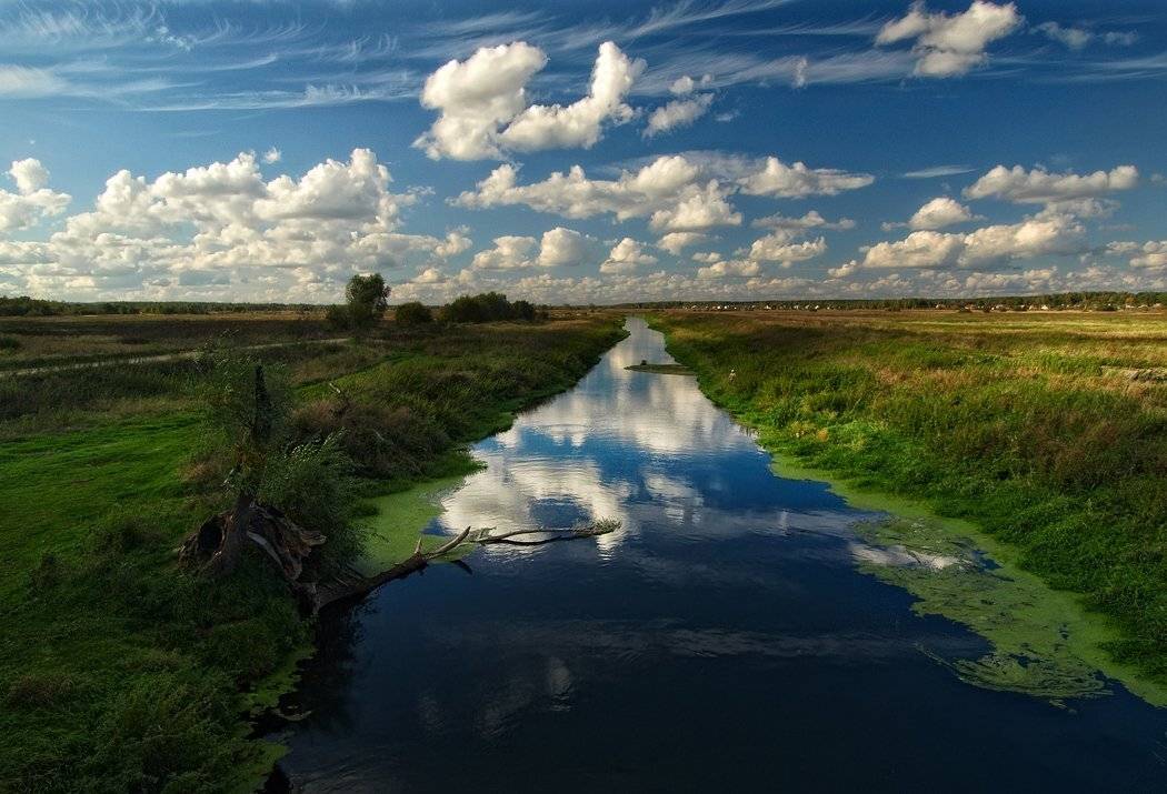 , Марина Брыдня