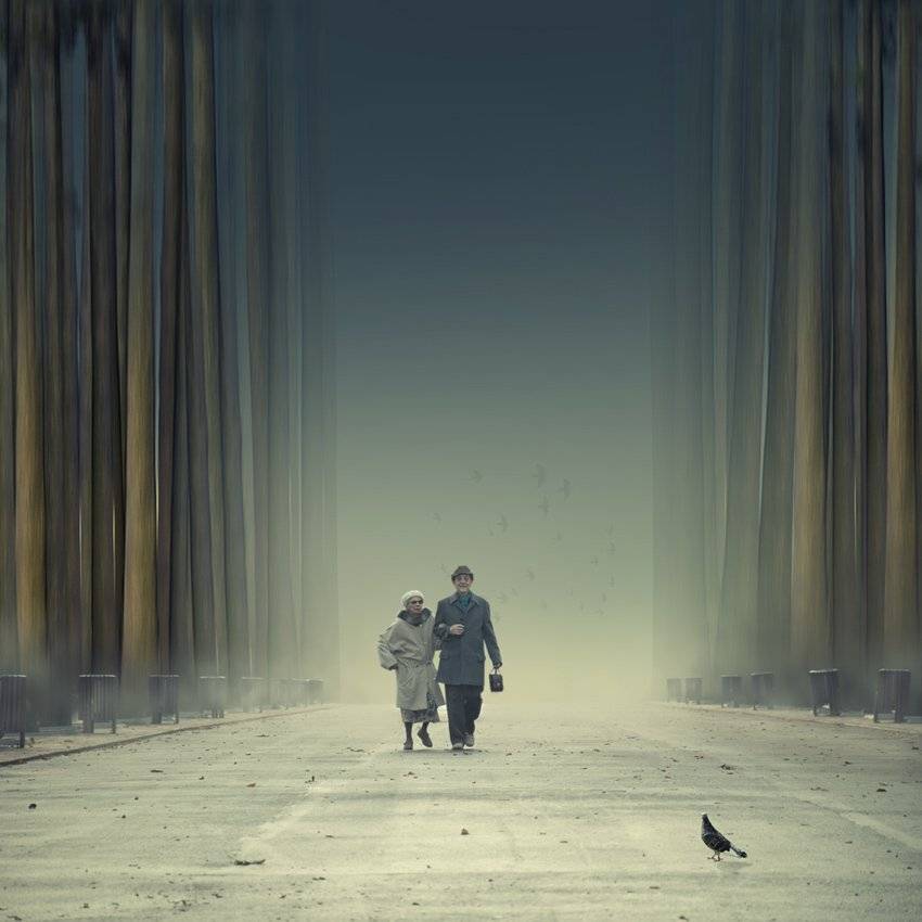 old, man, woman, dove, leaf, alleway, fog, mist, tree, long, birds, Caras Ionut