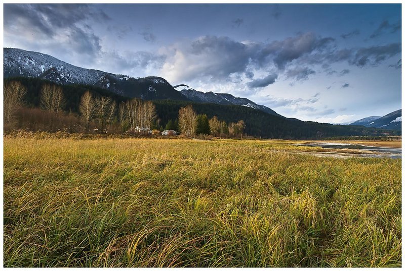 Травостой фото превью