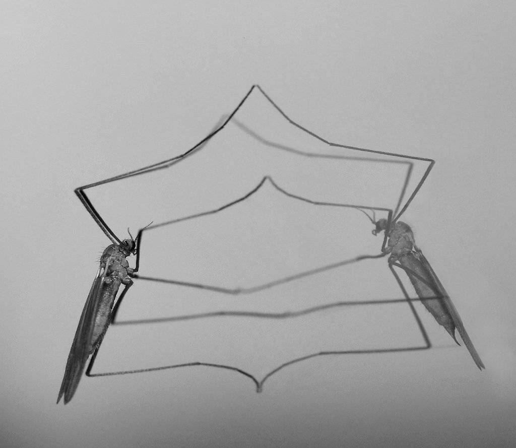 , Сергей Таланов