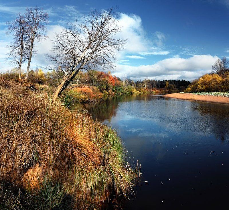 кирс Золотая осень фото превью