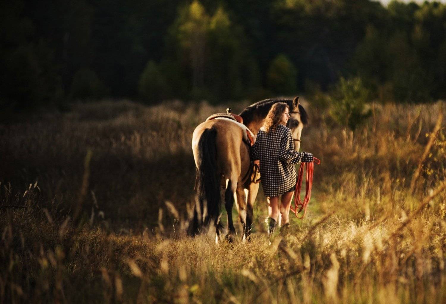 двое,закат,лошадь,природа, Аркадий Курта