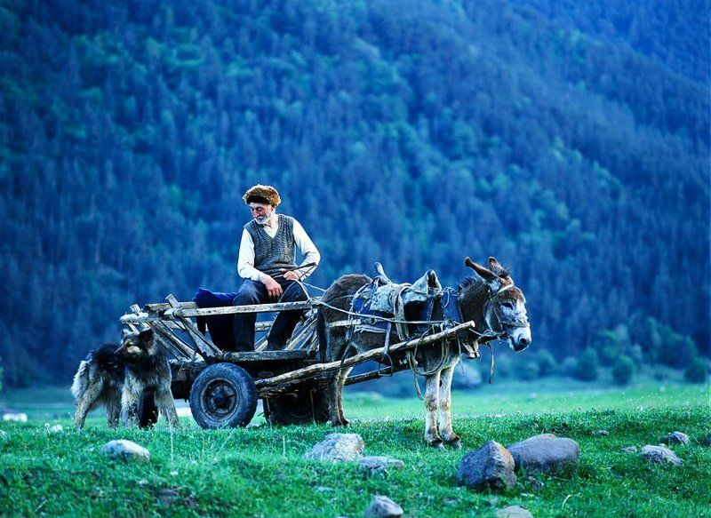 Дедушка из Теберды фото превью