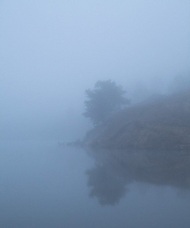 ЁЖИК В ТУМАНЕ фото превью