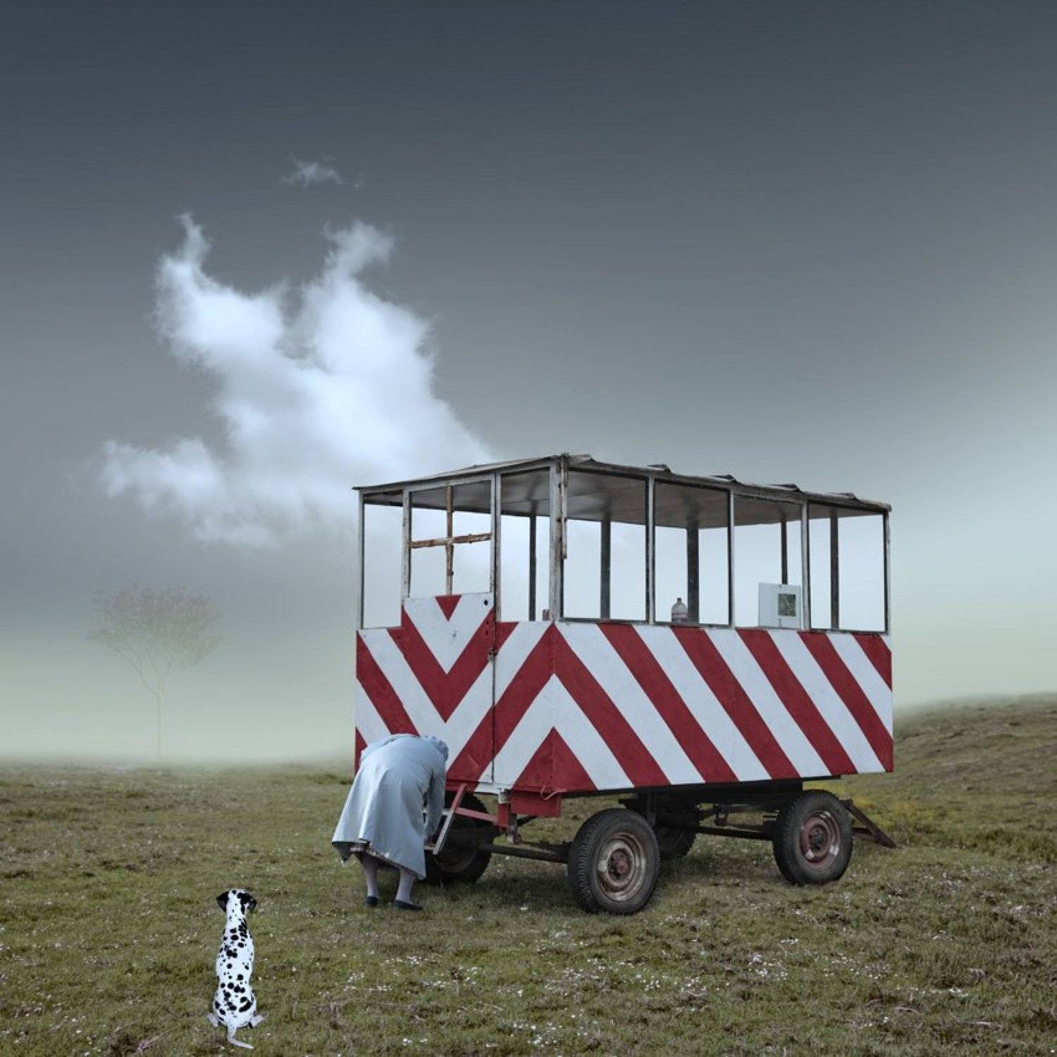 dog, woman, old, sky, cloud, caravan, car, tire, grass, fog, mist,, Caras Ionut