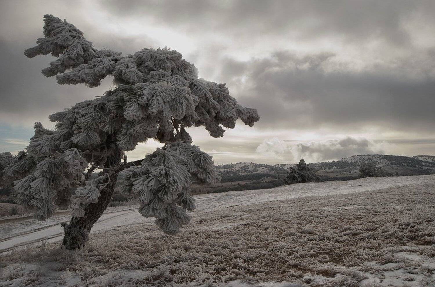 , Татьяна Аверина
