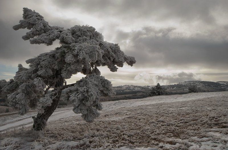 -- фото превью