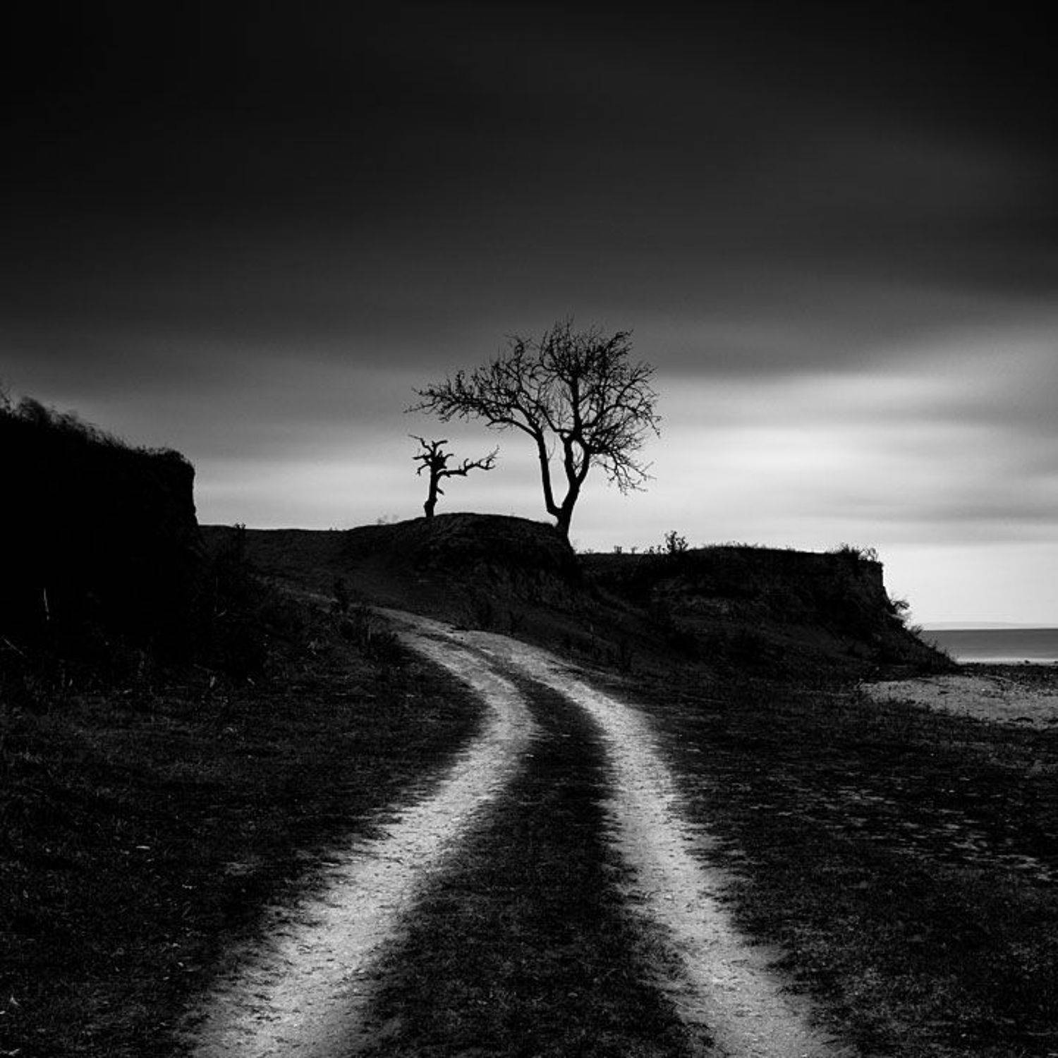 пейзаж, чб, моно, vadnak