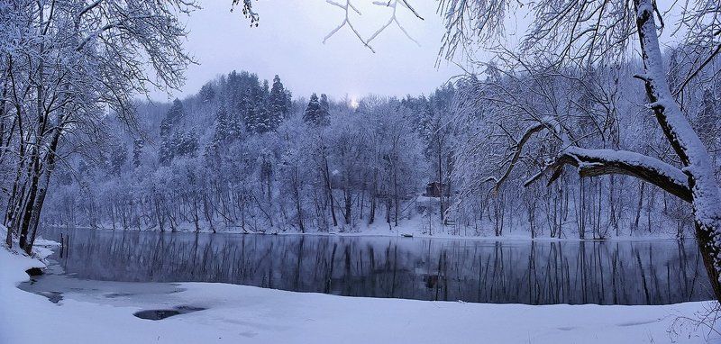 В тишине серебряного леса фото превью