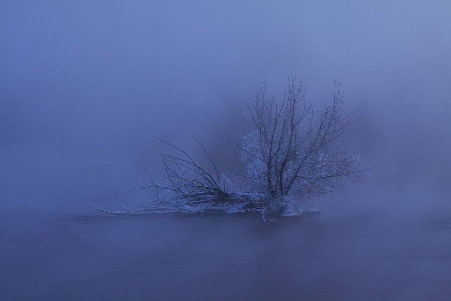 , Данил Ромодин