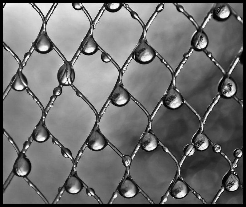 капелькомания фото превью