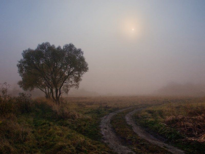 Туманным утром фото превью