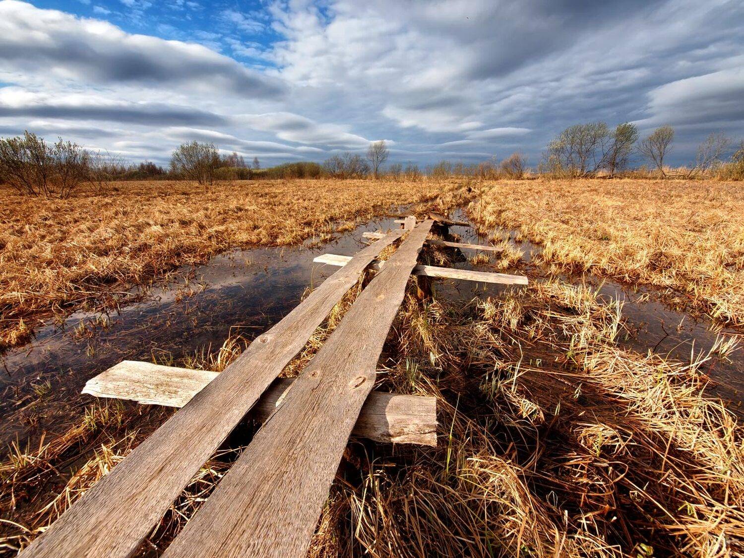 , Максим Евдокимов