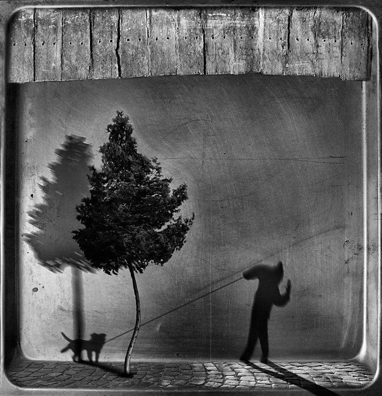 silver ancestral фото превью