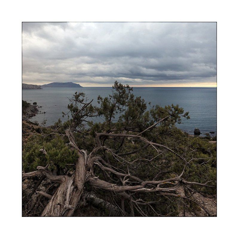 Новосветское... фото превью