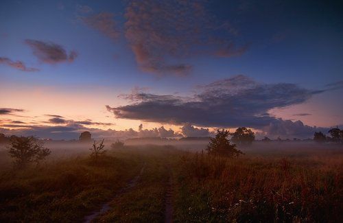 Сумерки