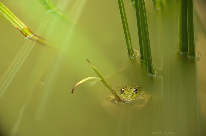 Пожарный с багром фото превью