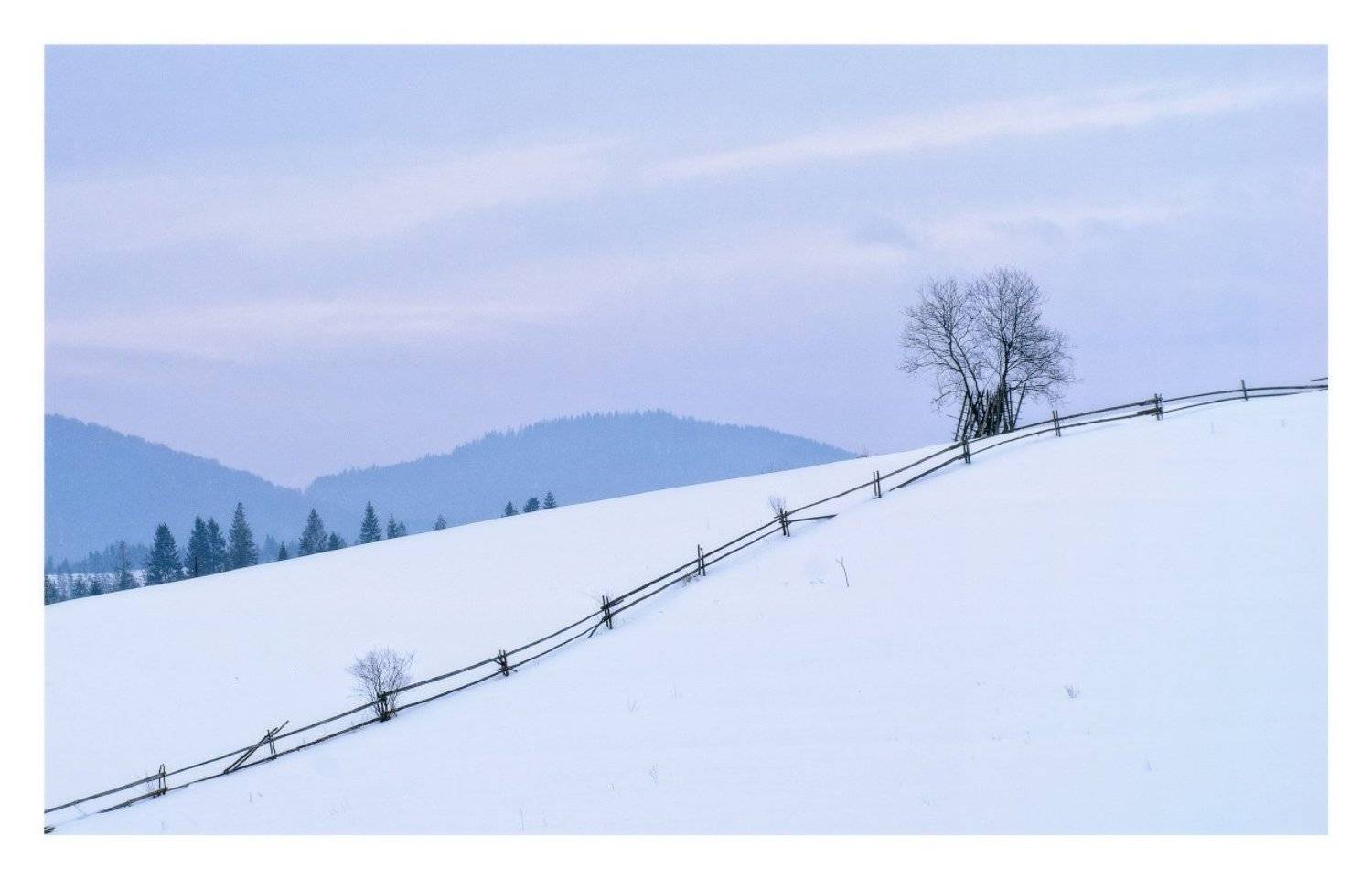 карпаты, Dmitry Pozharsky