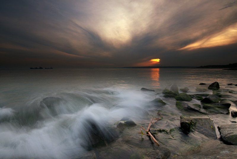 wave last wave... фото превью