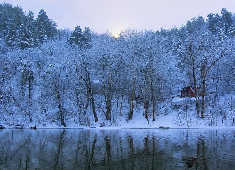 К избушке лесника фото превью