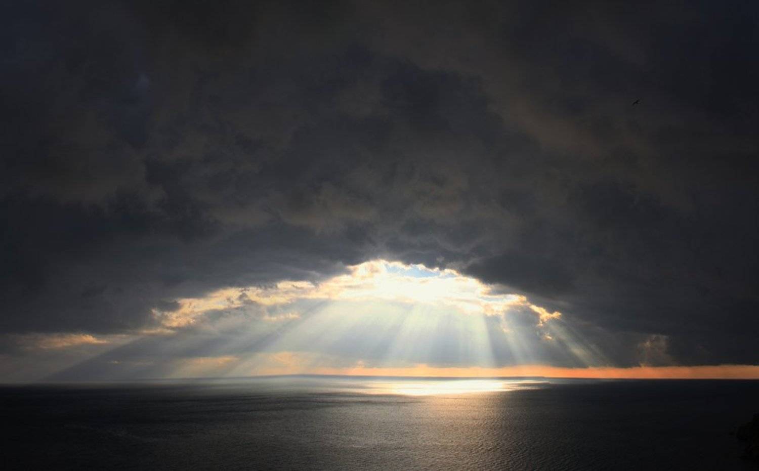 , Игорь Олейник