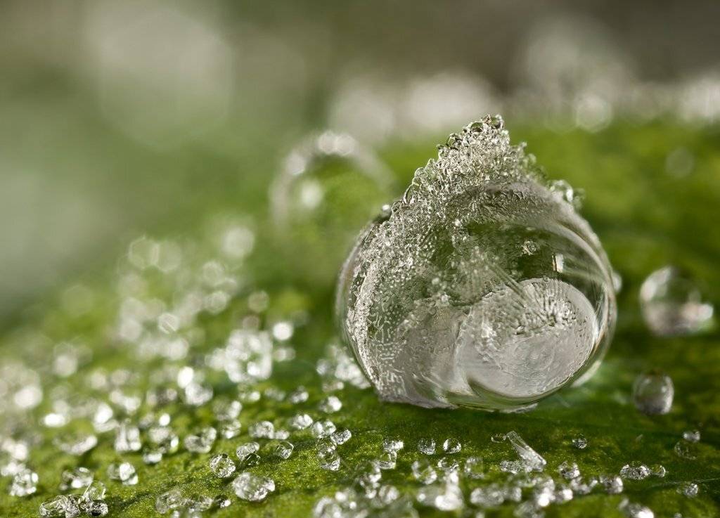 el, mundo, de, cristal, Надежда Муравьёва