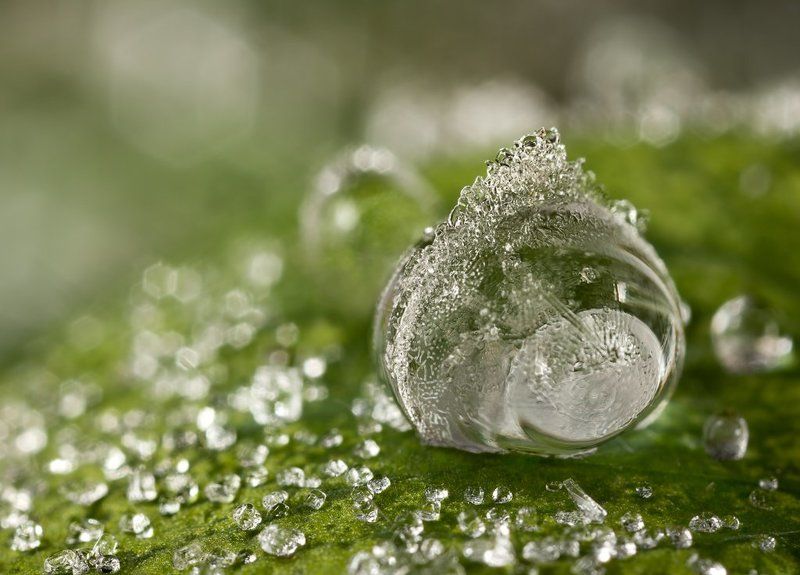 el, mundo, de, cristal El mundo de cristal фото превью