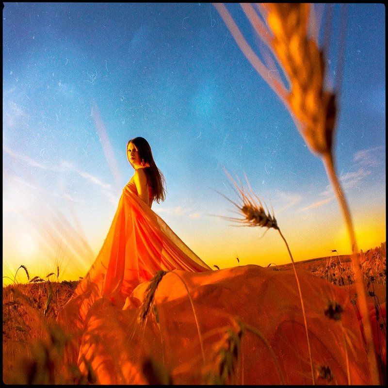 девушка, поле, рассвет, пшеница, поле *** фото превью