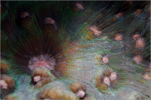 Радужный вальс