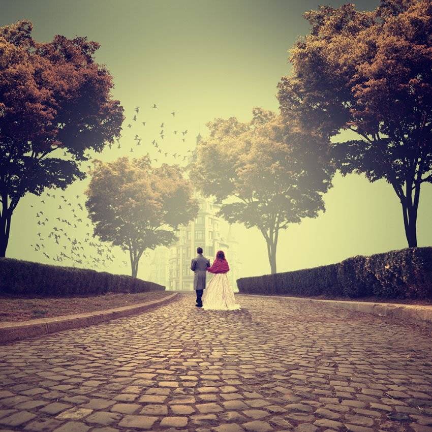 visitors, vistorian, tree, castle, road, walk, bush, sky, light, fly, birds, Caras Ionut
