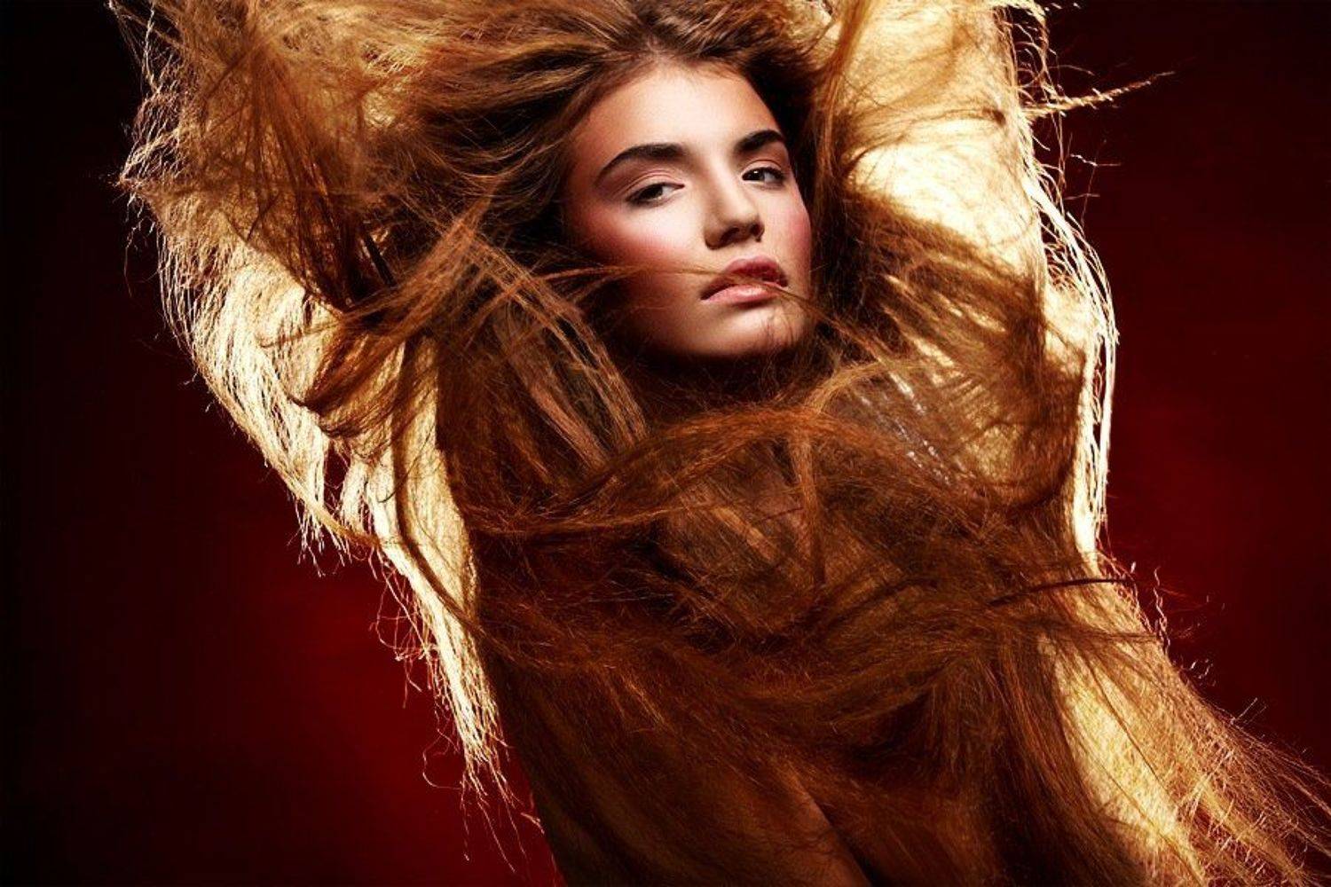 , Александр Новиков