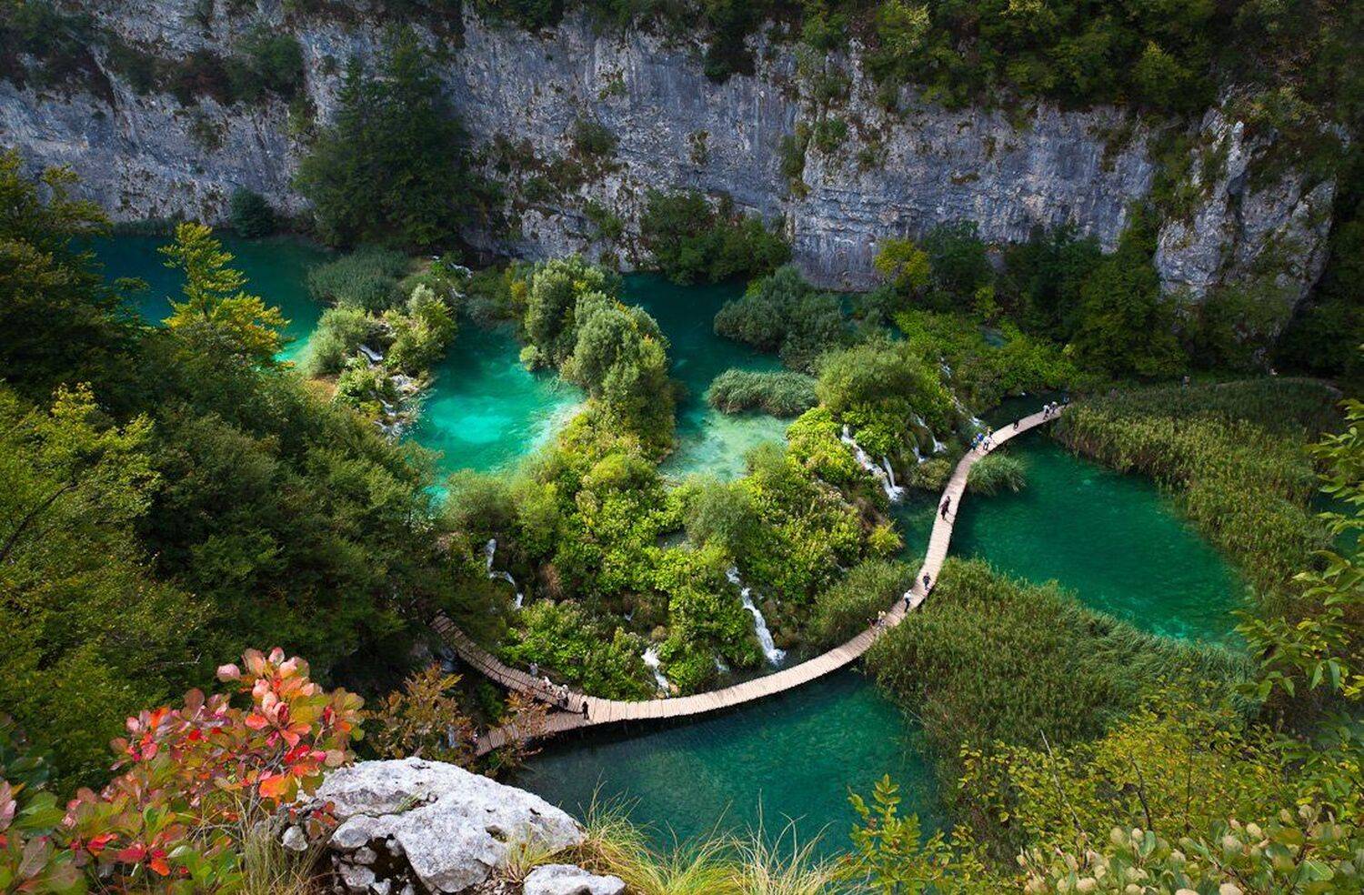 , Надежда Звягина / New Zealand