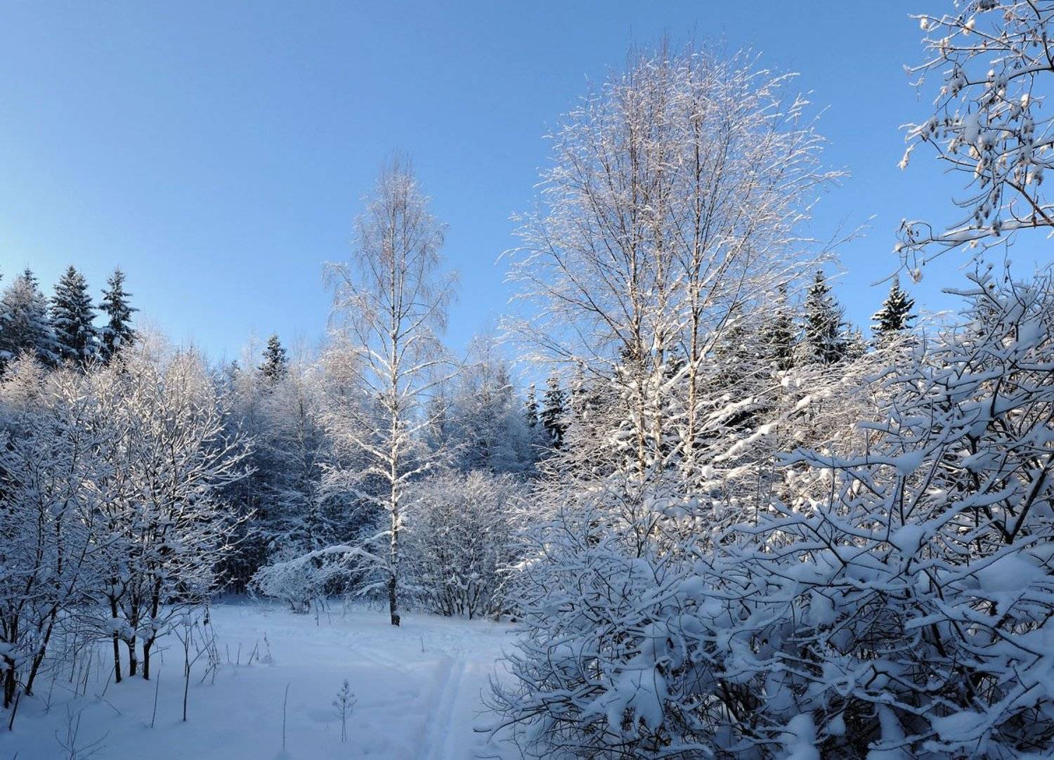 , Сергей Седов