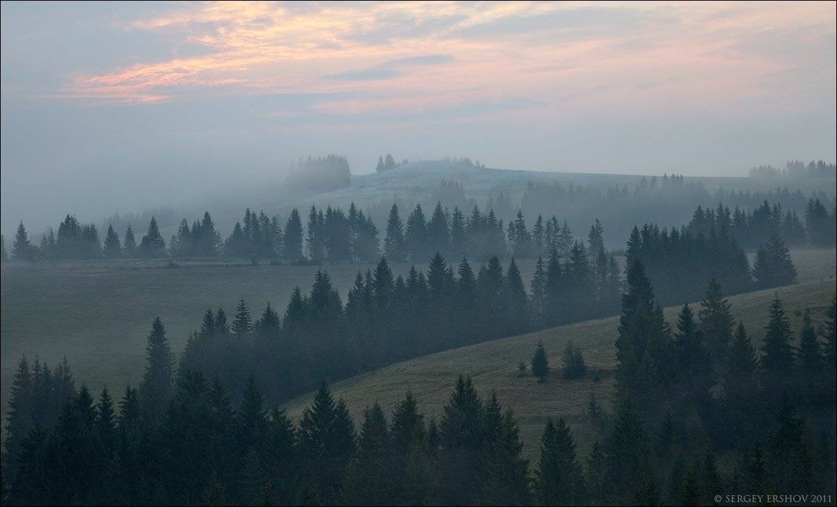 карпаты, украина, пилипец, горы, елки, Сергей Ершов