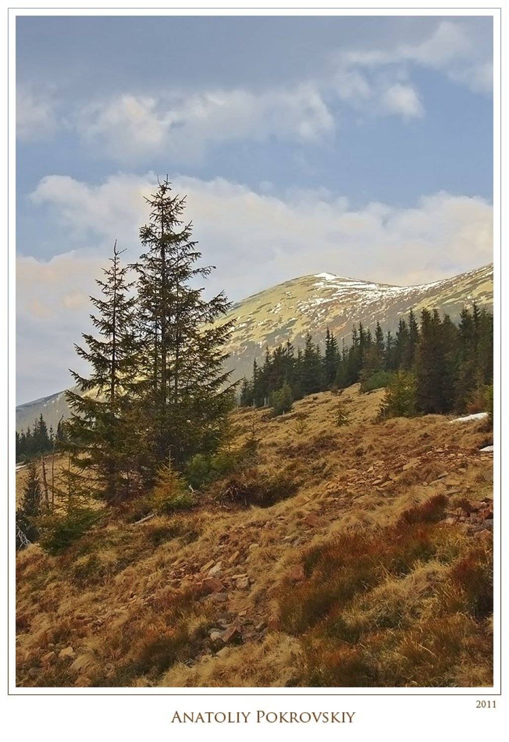 анатолий покровский, карпаты, горы, весна, горганы, сывуля, Анатолий Покровский